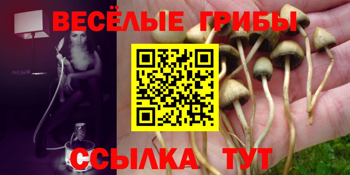 Галлюциногенные грибы GOLDEN TEACHER  где найти   Краснокаменск  Вход с VPN 